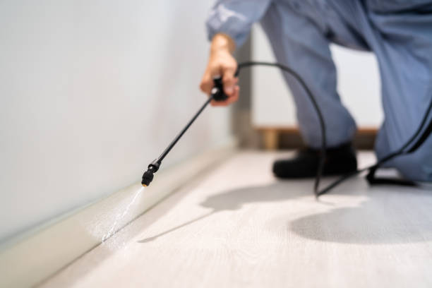 Licensed Pest Control service in Blossom, TX - Show Me Pest Control
